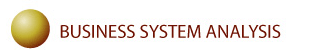 Business System Analysis